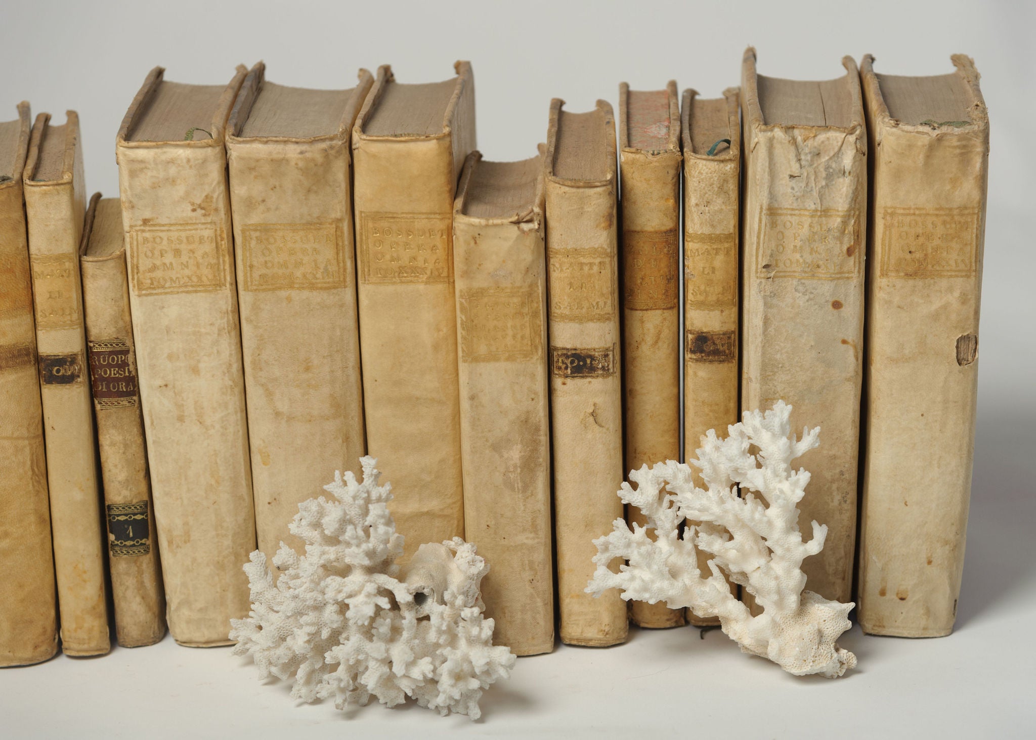 Antique 18th Century Italian Vellum Books