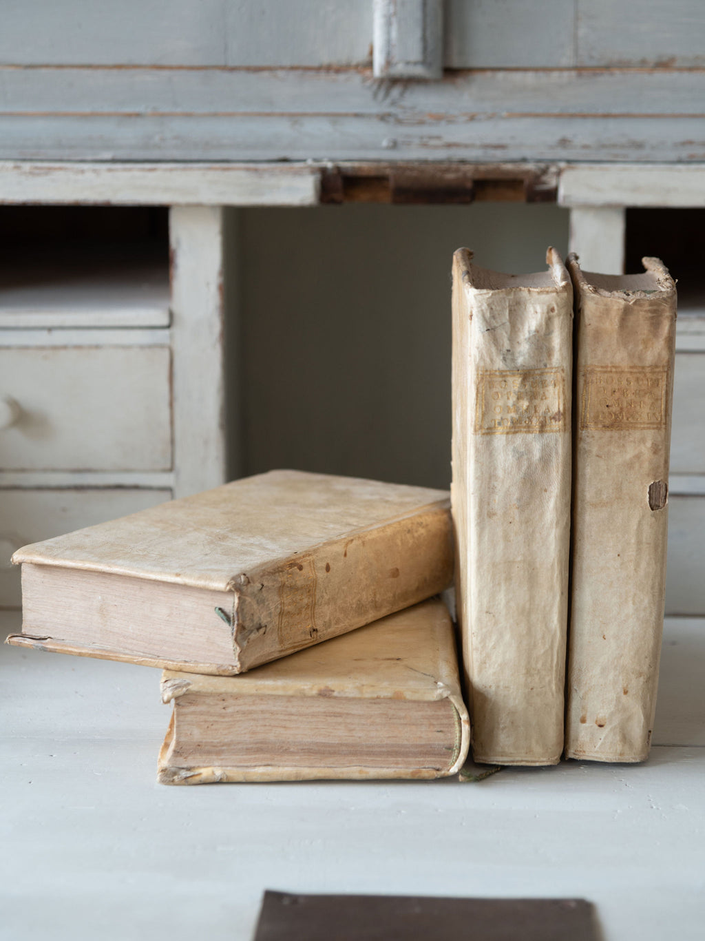 Collection antique 18th century Italian Vellum books