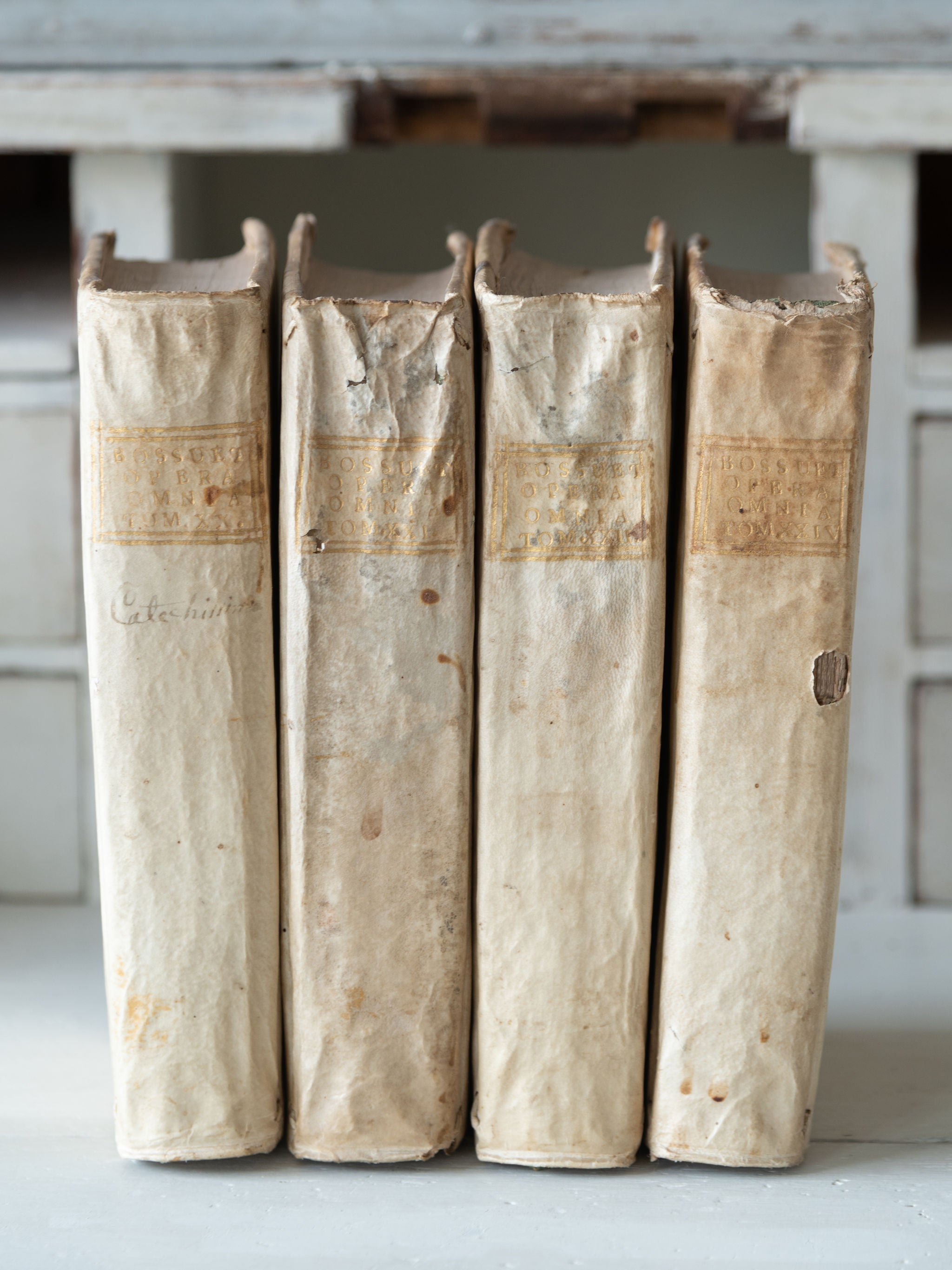 Collection antique 18th century Italian Vellum books