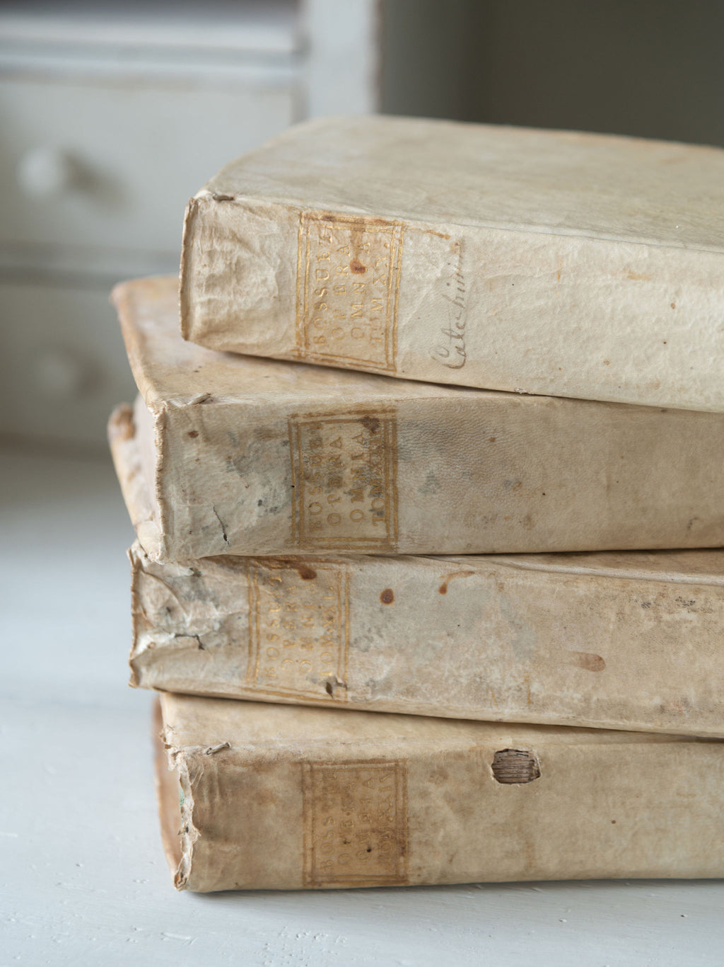 Collection antique 18th century Italian Vellum books