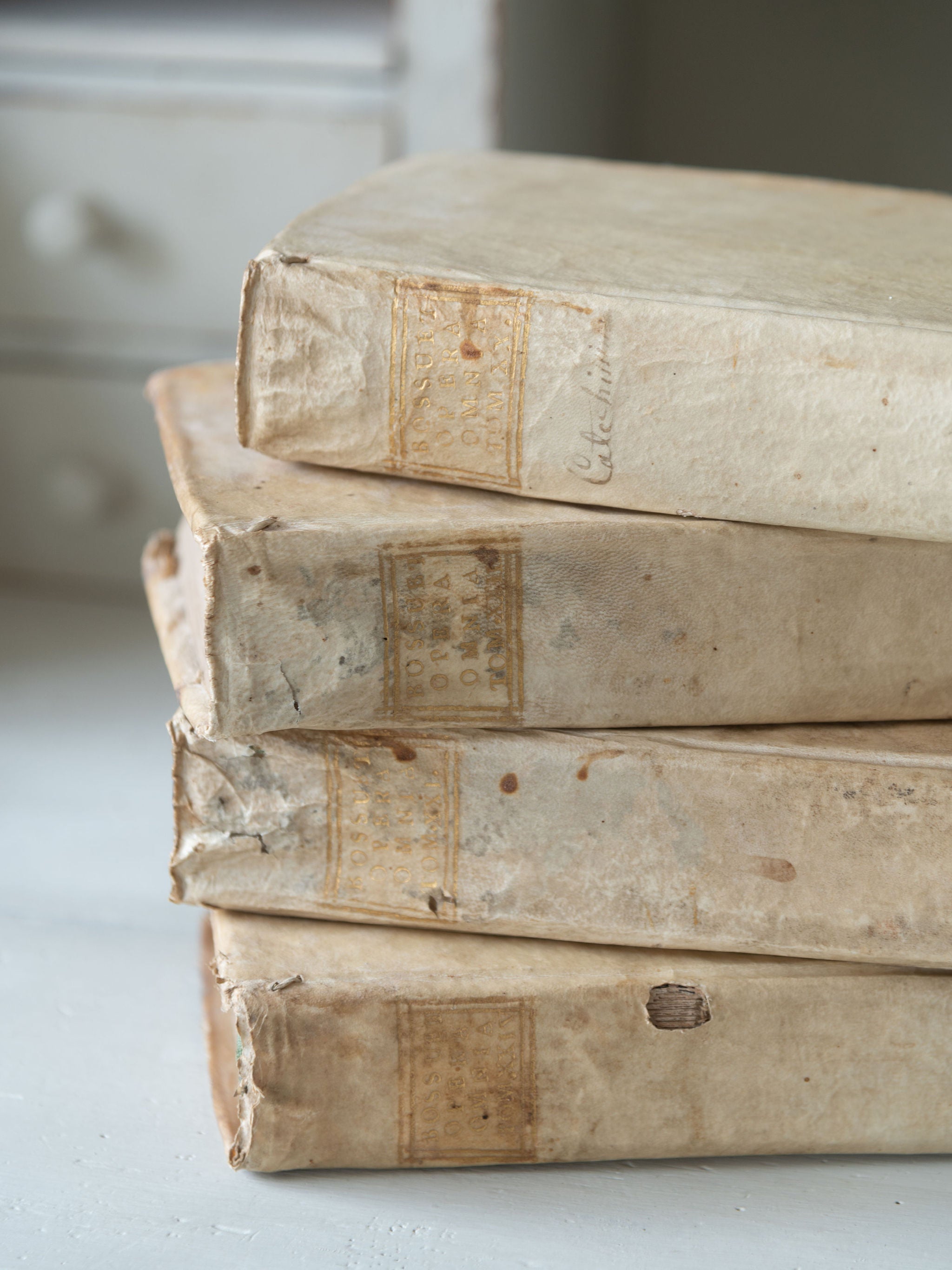 Collection antique 18th century Italian Vellum books