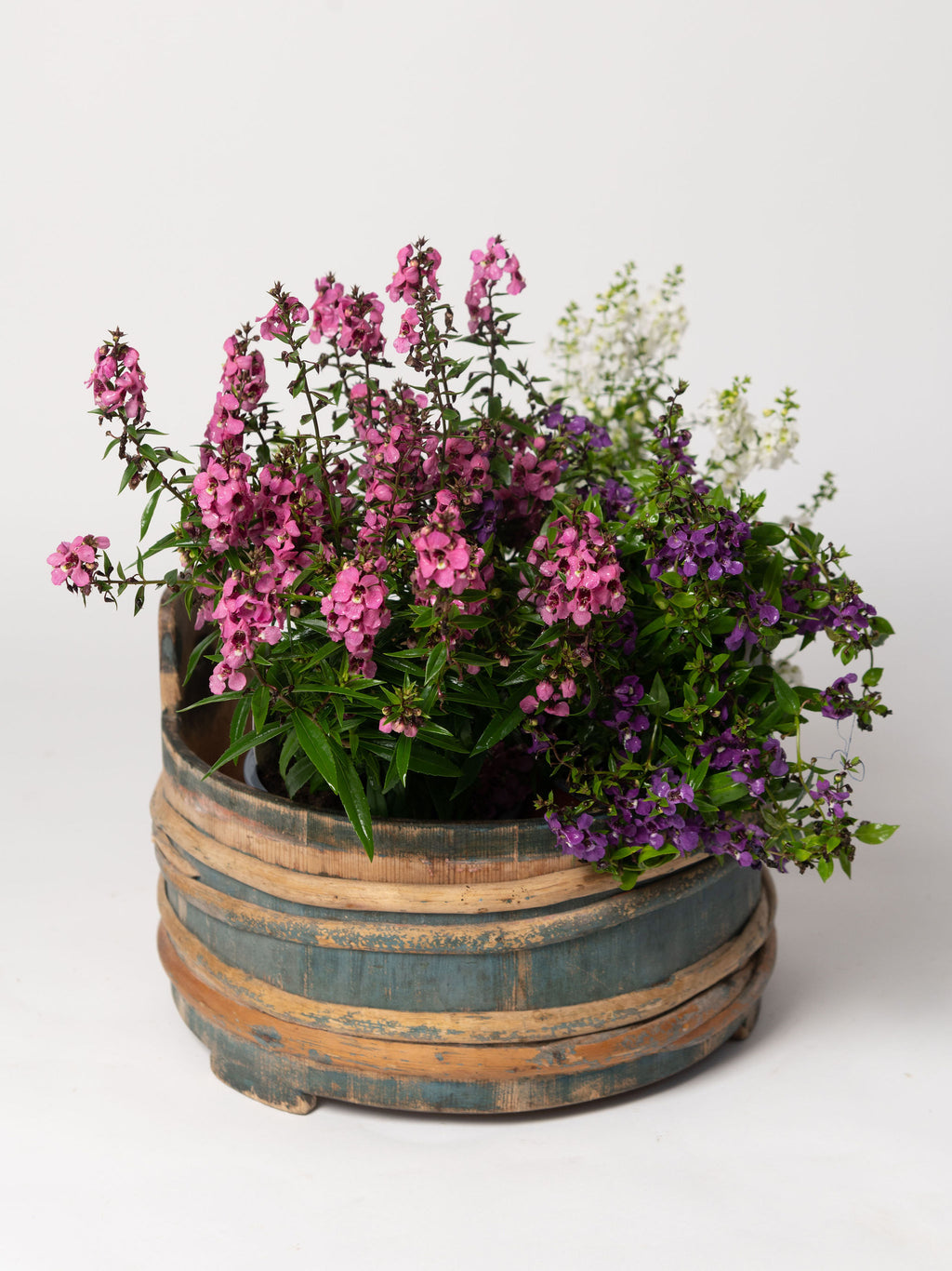Antique Swedish Wooden milk tub with original paint