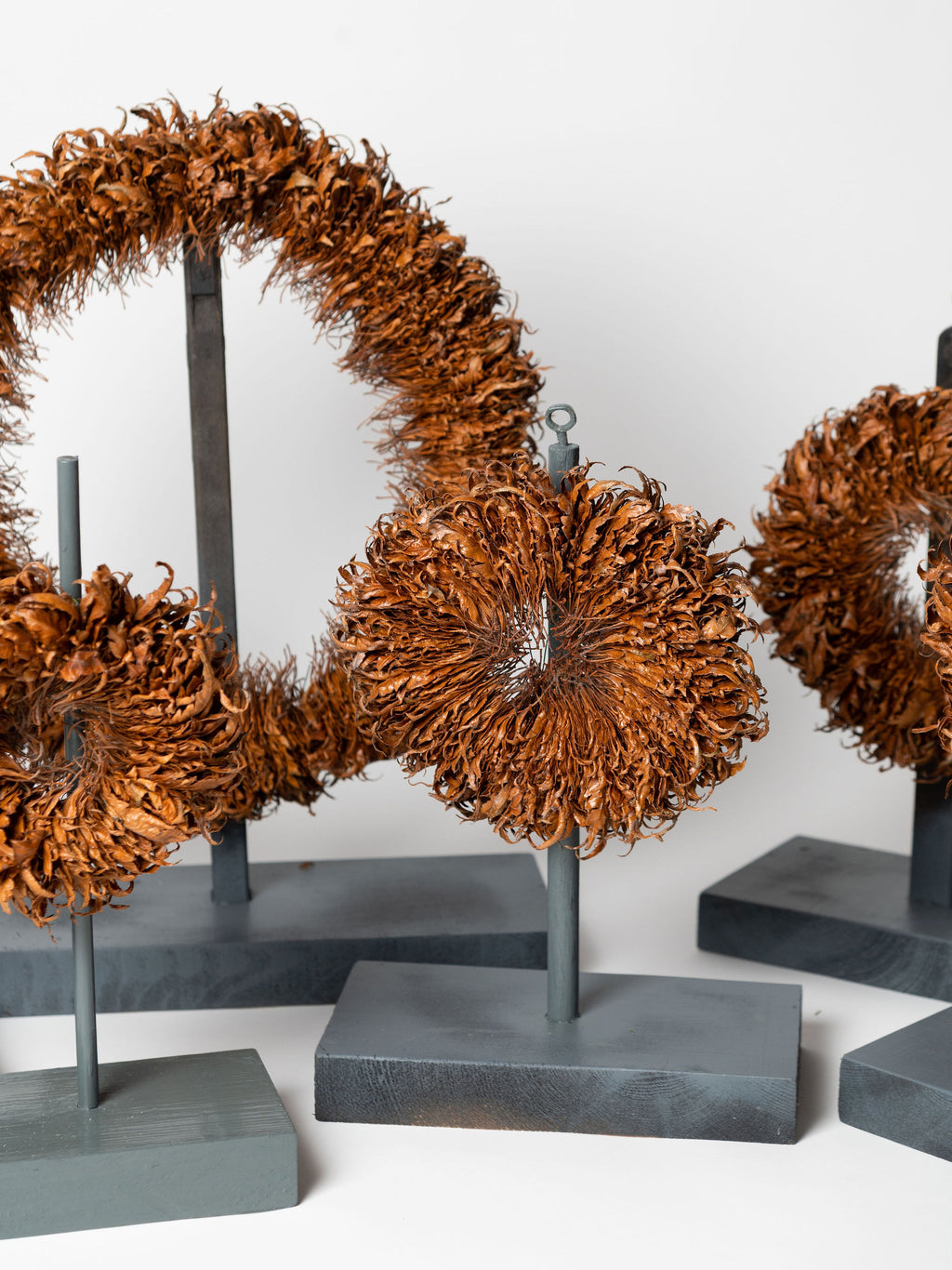 Collection of leaf sculptures by Sarah Moore