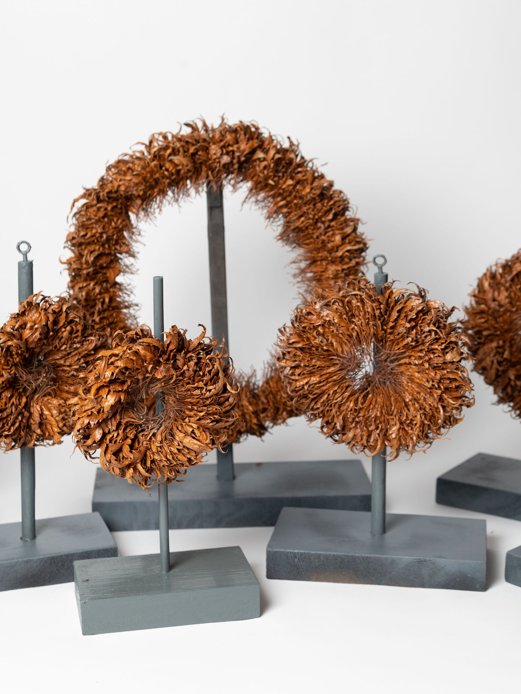 Collection of leaf sculptures by Sarah Moore