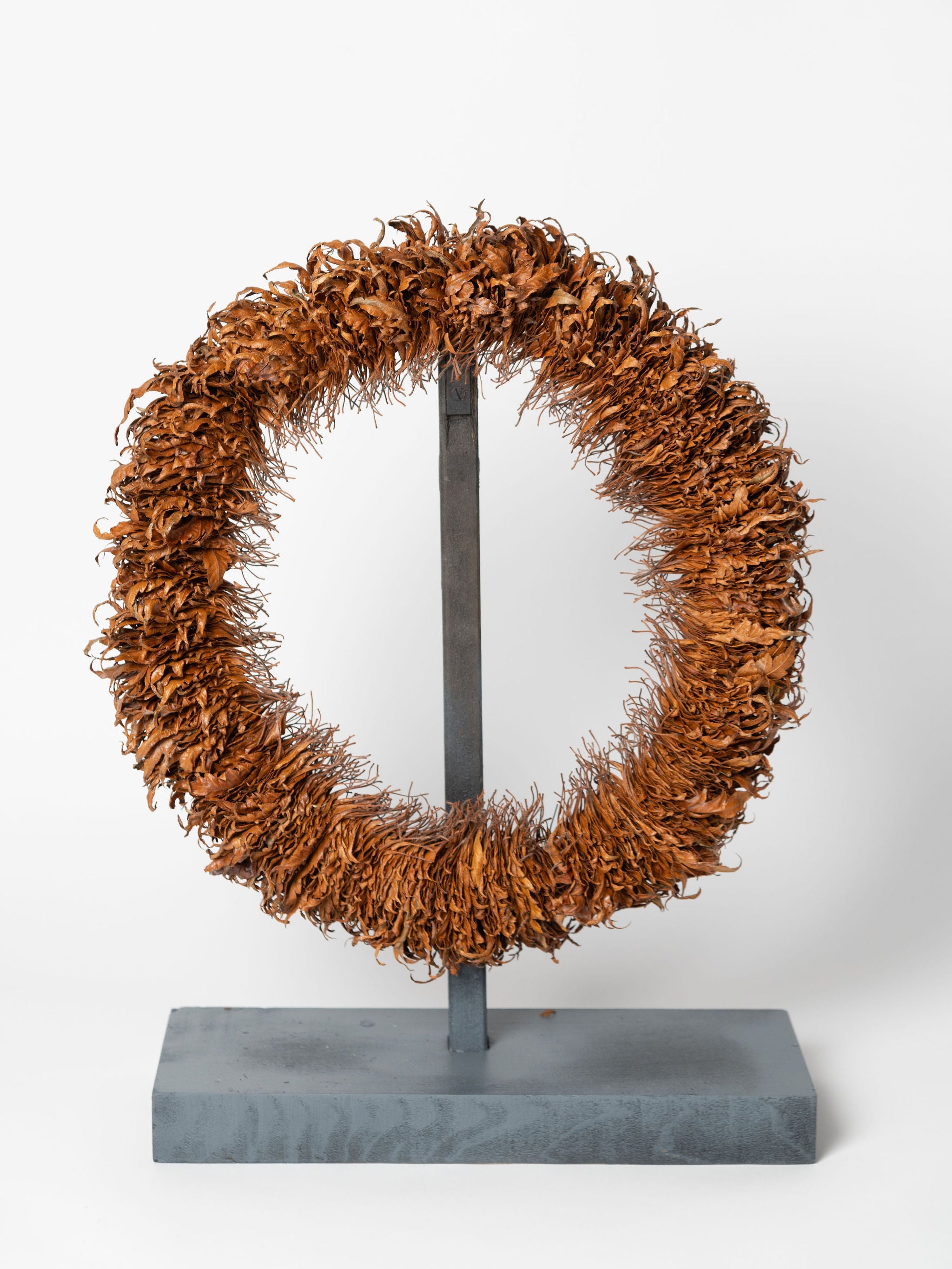 Collection of leaf sculptures by Sarah Moore