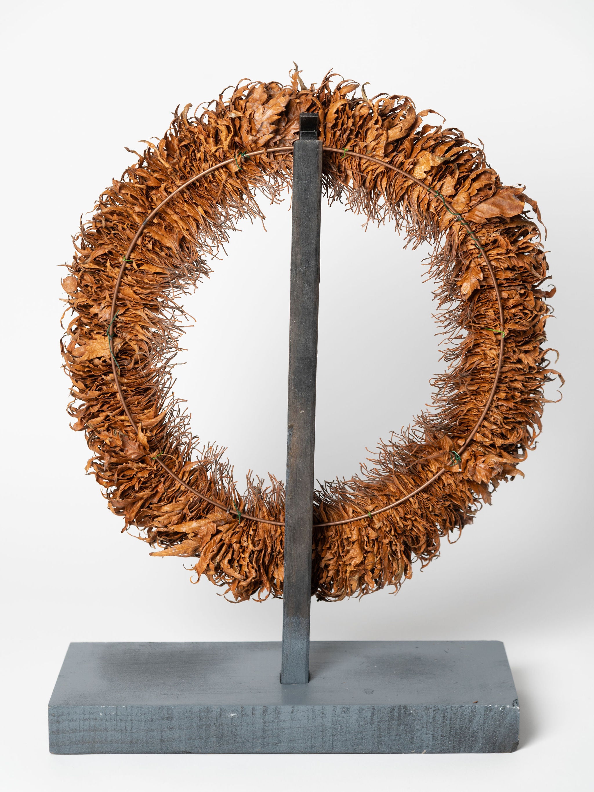 Collection of leaf sculptures by Sarah Moore