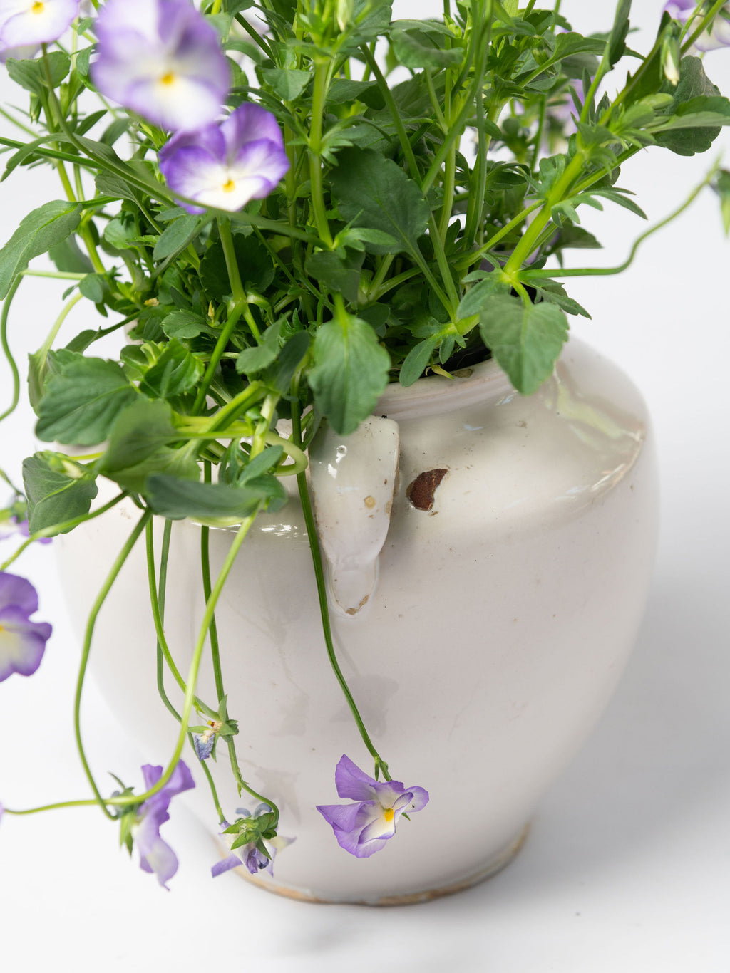 Antique 19th Century French white glaze confit pot