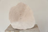 Beautiful Collection of Vintage "Elephant Ear Mushroom" Coral - Decorative Antiques UK  - 4