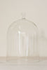 Collection Vintage Glass Cloches/Domes - Decorative Antiques UK  - 1
