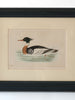 Collection Antique Duck Bookplates, mounted & framed