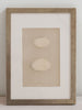 Antique 19th Century Egg prints, mounted and framed - Decorative Antiques UK  - 4