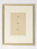 ANTIQUE 19TH CENTURY BIRD EGG BOOKPLATES, MOUNTED AND FRAMED