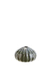 Sea Urchins Vase (Green brown)