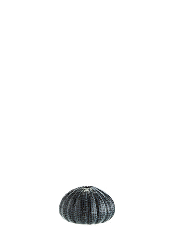 Sea Urchins Vase (Dark grey & Black)