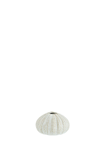 Sea Urchins Vase in White and beige colourway