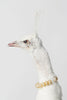 STUNNING RARE WHITE TAXIDERMY PEAHENS