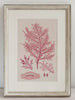 Antique 19th Century Handcoloured Seaweed Prints, mounted and framed - Decorative Antiques UK  - 3