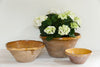 Collection Antique French Tian Bowls - Decorative Antiques UK  - 2