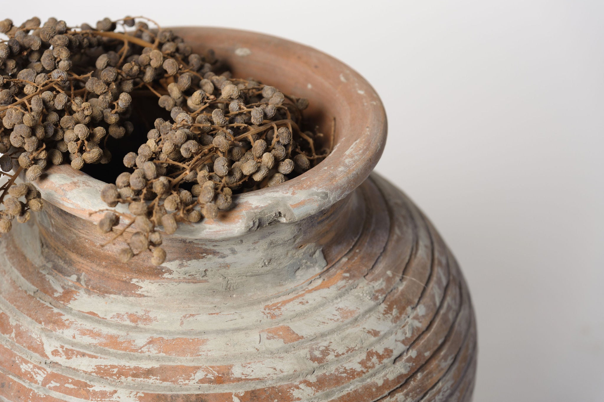 Vintage Terracotta Pot with textured exterior