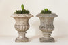 Beautiful 19th Century French Marble Urns - Decorative Antiques UK  - 2
