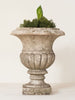 Beautiful 19th Century French Marble Urns - Decorative Antiques UK  - 3