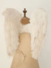 Rare Antique French Procession Feather Angel Wings